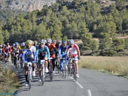 Menorial León Sanchez